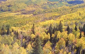 fall thomas lakes trail 3