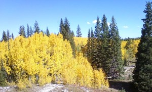 fall thomas lakes trail