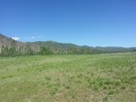 Meadow along Perham Creek trail
