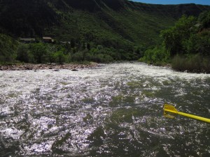 2013 rafting roaring fork