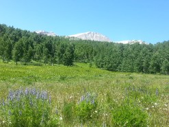 Mt Sopris on Thomas Lakes trail