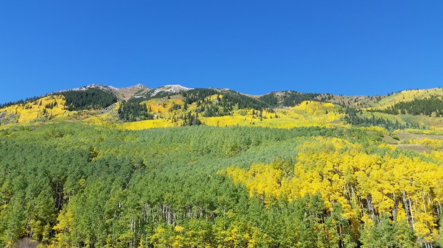fall up Castle Creek