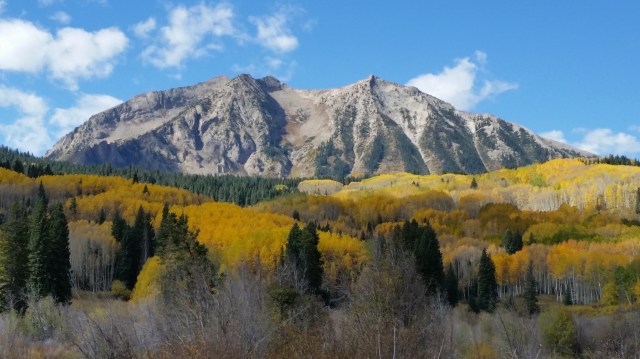 Kebler pass fall colours