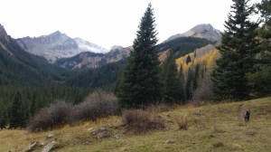 Mt Daly from west snowmass creek trail